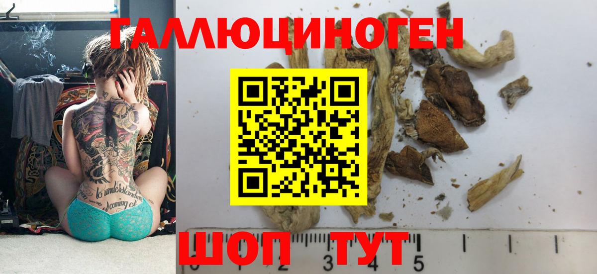 Ижевск  Псилоцибиновые грибы GOLDEN TEACHER  Вход с VPN 